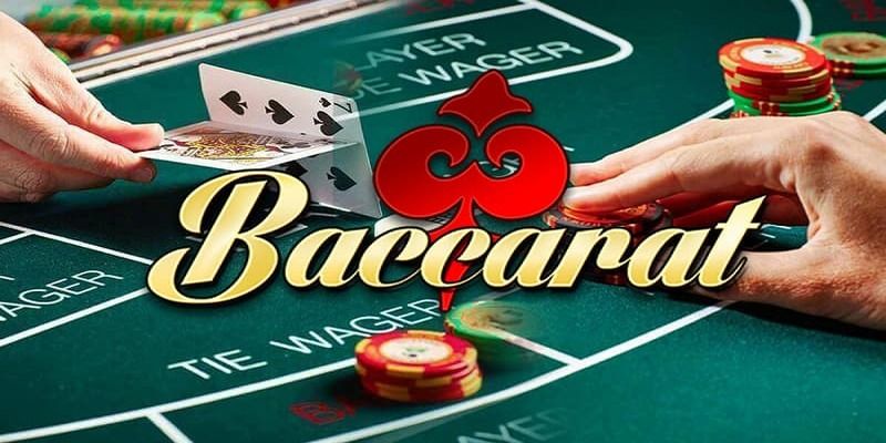 Thabet luôn là lựa chọn hàng đầu để trải nghiệm game bài Baccarat