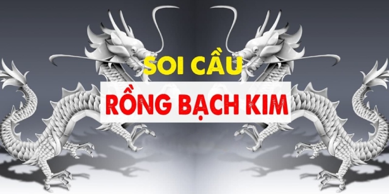 Tìm hiểu về rồng bạch kim XSMN