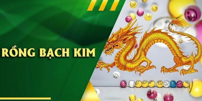 Cách soi cầu rồng bạch kim cho người mới